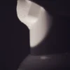 Lift Shield Pads